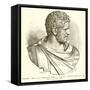 Caracalla-null-Framed Stretched Canvas