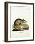 Caraco-null-Framed Giclee Print