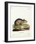 Caraco-null-Framed Giclee Print