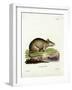 Caraco-null-Framed Giclee Print