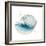 Caracol Azul Square-Patricia Pinto-Framed Art Print