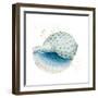 Caracol Azul Square-Patricia Pinto-Framed Art Print