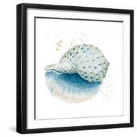 Caracol Azul Square-Patricia Pinto-Framed Art Print