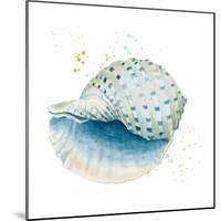 Caracol Azul Square-Patricia Pinto-Mounted Art Print