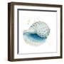 Caracol Azul Square-Patricia Pinto-Framed Art Print