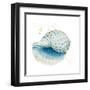 Caracol Azul Square-Patricia Pinto-Framed Art Print