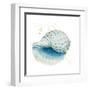 Caracol Azul Square-Patricia Pinto-Framed Art Print