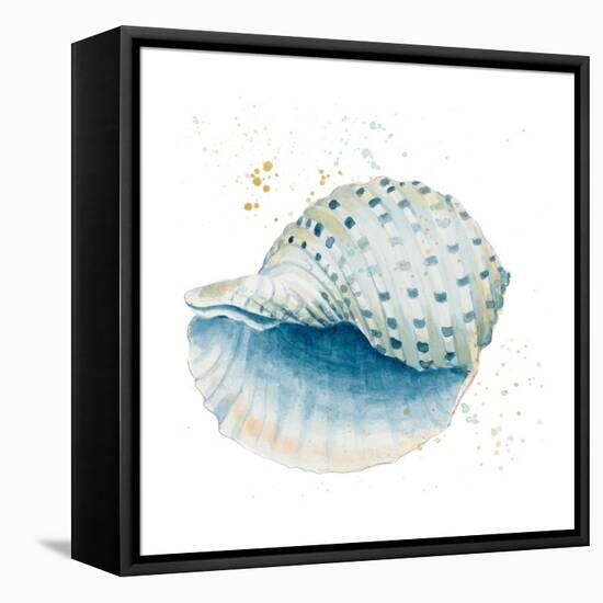Caracol Azul Square-Patricia Pinto-Framed Stretched Canvas