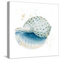 Caracol Azul Square-Patricia Pinto-Stretched Canvas