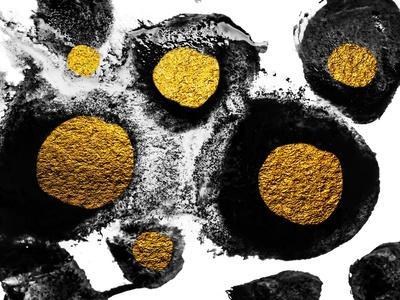 Art and Gold. Natural Luxury. Black Paint Stroke Texture on White Paper. Abstract Hand Painted Gold