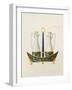 Carafe's IV-Anna Polanski-Framed Art Print