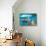 Caraibi 10-null-Mounted Art Print displayed on a wall