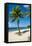 Carambola Beach Resort beach, St. Croix, US Virgin Islands.-Michael DeFreitas-Framed Stretched Canvas