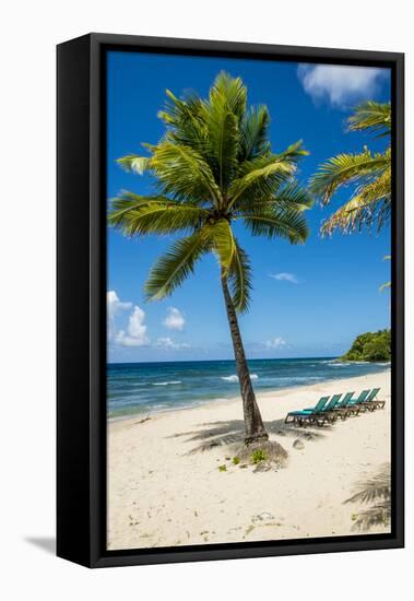 Carambola Beach Resort beach, St. Croix, US Virgin Islands.-Michael DeFreitas-Framed Stretched Canvas
