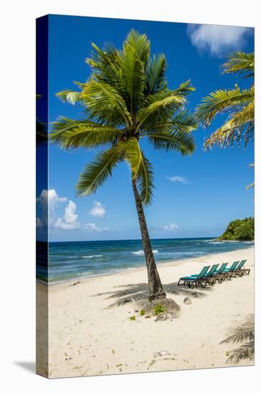 Carambola Beach Resort beach, St. Croix, US Virgin Islands.-Michael DeFreitas-Stretched Canvas