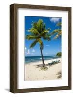 Carambola Beach Resort beach, St. Croix, US Virgin Islands.-Michael DeFreitas-Framed Photographic Print