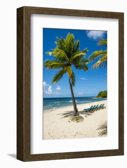 Carambola Beach Resort beach, St. Croix, US Virgin Islands.-Michael DeFreitas-Framed Photographic Print