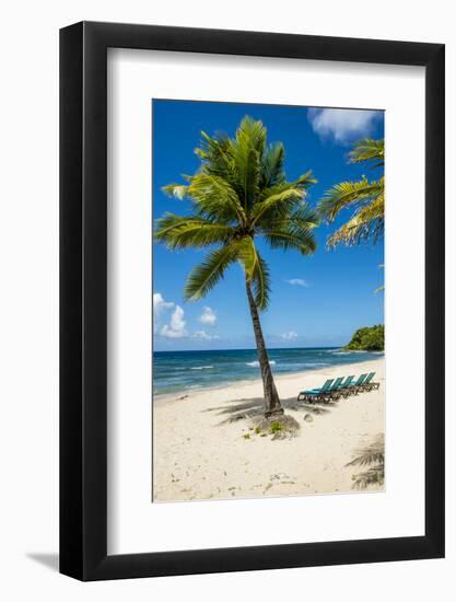 Carambola Beach Resort beach, St. Croix, US Virgin Islands.-Michael DeFreitas-Framed Photographic Print