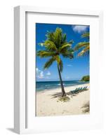 Carambola Beach Resort beach, St. Croix, US Virgin Islands.-Michael DeFreitas-Framed Photographic Print