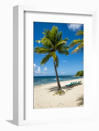 Carambola Beach Resort beach, St. Croix, US Virgin Islands.-Michael DeFreitas-Framed Photographic Print