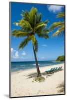 Carambola Beach Resort beach, St. Croix, US Virgin Islands.-Michael DeFreitas-Mounted Photographic Print