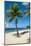 Carambola Beach Resort beach, St. Croix, US Virgin Islands.-Michael DeFreitas-Mounted Photographic Print