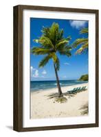 Carambola Beach Resort beach, St. Croix, US Virgin Islands.-Michael DeFreitas-Framed Photographic Print