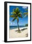 Carambola Beach Resort beach, St. Croix, US Virgin Islands.-Michael DeFreitas-Framed Photographic Print