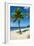 Carambola Beach Resort beach, St. Croix, US Virgin Islands.-Michael DeFreitas-Framed Photographic Print