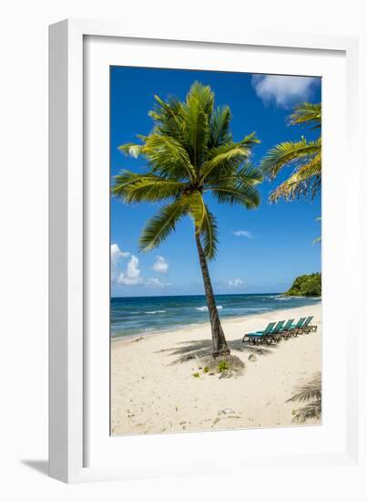 Carambola Beach Resort beach, St. Croix, US Virgin Islands.-Michael DeFreitas-Framed Photographic Print