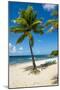 Carambola Beach Resort beach, St. Croix, US Virgin Islands.-Michael DeFreitas-Mounted Photographic Print