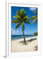 Carambola Beach Resort beach, St. Croix, US Virgin Islands.-Michael DeFreitas-Framed Photographic Print