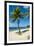 Carambola Beach Resort beach, St. Croix, US Virgin Islands.-Michael DeFreitas-Framed Photographic Print