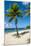 Carambola Beach Resort beach, St. Croix, US Virgin Islands.-Michael DeFreitas-Mounted Photographic Print