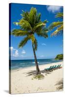 Carambola Beach Resort beach, St. Croix, US Virgin Islands.-Michael DeFreitas-Stretched Canvas