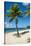 Carambola Beach Resort beach, St. Croix, US Virgin Islands.-Michael DeFreitas-Stretched Canvas