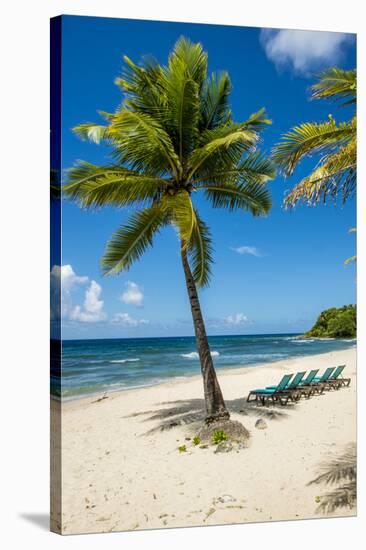 Carambola Beach Resort beach, St. Croix, US Virgin Islands.-Michael DeFreitas-Stretched Canvas