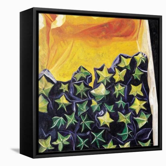 Carambolas, 2002-Pedro Diego Alvarado-Framed Stretched Canvas