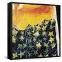 Carambolas, 2002-Pedro Diego Alvarado-Framed Stretched Canvas