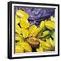 Carambolas, 2004-Pedro Diego Alvarado-Framed Giclee Print