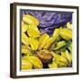 Carambolas, 2004-Pedro Diego Alvarado-Framed Giclee Print