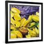 Carambolas, 2004-Pedro Diego Alvarado-Framed Giclee Print