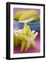 Carambolas, Whole and Sliced-Foodcollection-Framed Photographic Print