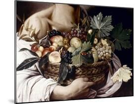 Caravaggio: Fruit-Caravaggio-Mounted Giclee Print