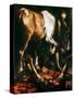 Caravaggio: Stpaul-Caravaggio-Stretched Canvas