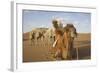 Caravan camels in the Badain Jaran Desert, Inner Mongolia, China-Ellen Anon-Framed Photographic Print