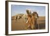 Caravan camels in the Badain Jaran Desert, Inner Mongolia, China-Ellen Anon-Framed Photographic Print