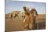 Caravan camels in the Badain Jaran Desert, Inner Mongolia, China-Ellen Anon-Mounted Photographic Print