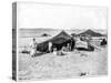 Caravan Camp, Sahara Desert, Late 19th Century-John L Stoddard-Stretched Canvas