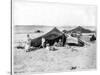 Caravan Camp, Sahara Desert, Late 19th Century-John L Stoddard-Stretched Canvas